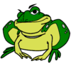 toad freeware oracle